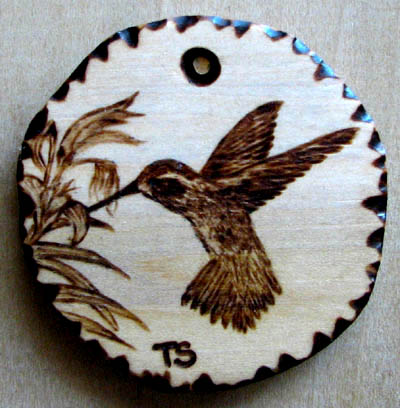 blue throated hummingbird  tanja sova pyrography